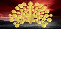 pavone - Thumbnail 2