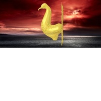 pavone - Thumbnail 3