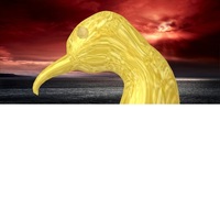 pavone - Thumbnail 4