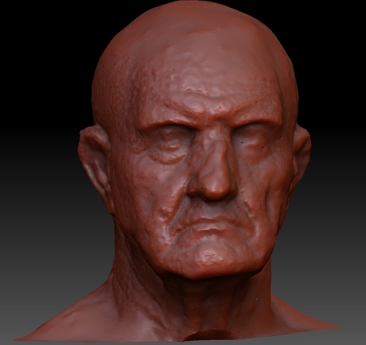 Marble Bust of a Man 3D Print 75726