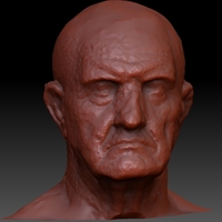 Small Marble Bust of a Man 3D Printing 75726