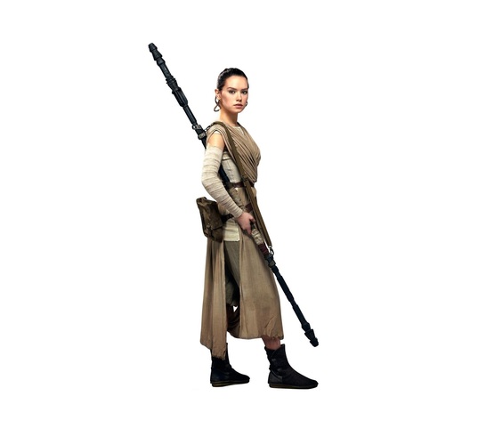 Rey - Star Wars 3D Print 76059