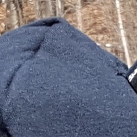 Cat Ears - Thumbnail 1