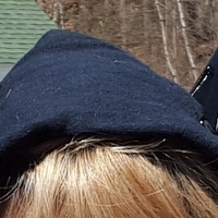 Cat Ears - Thumbnail 2