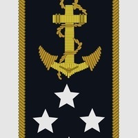 Admiral epaulet - Thumbnail 5