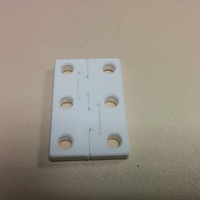 Shoelace (adapted from Klots) - Thumbnail 2