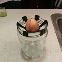 AvocadoNut Holder - Thumbnail 3