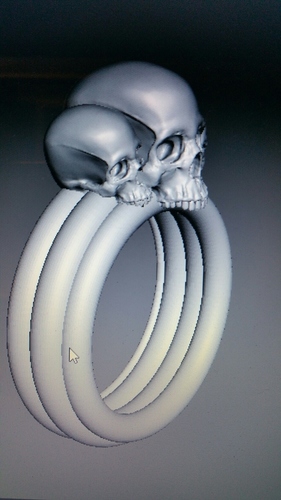 Scull Ring 3D Print 78681