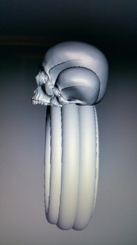 Scull Ring 3D Print 78683