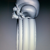 Scull Ring - Thumbnail 3