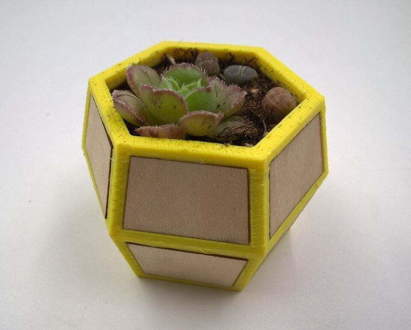 Polygon pot