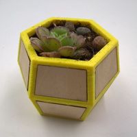 Small Polygon pot 3D Printing 78718