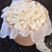 Cheese Press Mold and Follower - Thumbnail 3