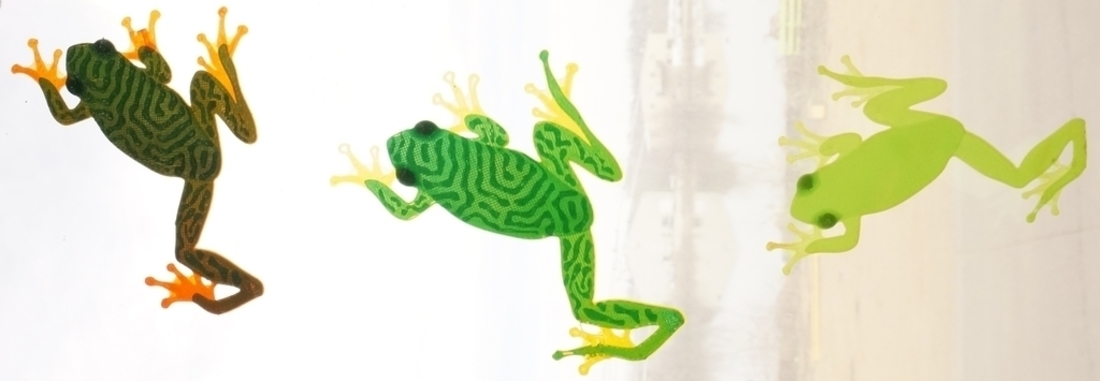 Treefrog Window Climber