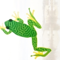 Small Treefrog Window Climber 3D Printing 79008