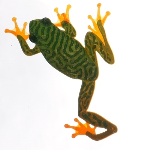 Treefrog Window Climber 3D Print 79009