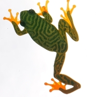 Treefrog Window Climber - Thumbnail 2
