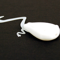 Tadpole Fishing Lure - Thumbnail 3