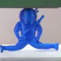 Flexible Ninja - Thumbnail 2