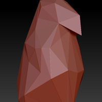 PENGUIN  - Thumbnail 5