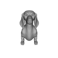 Wiener Dog Sit! - Thumbnail 3