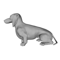 Wiener Dog Sit! - Thumbnail 4
