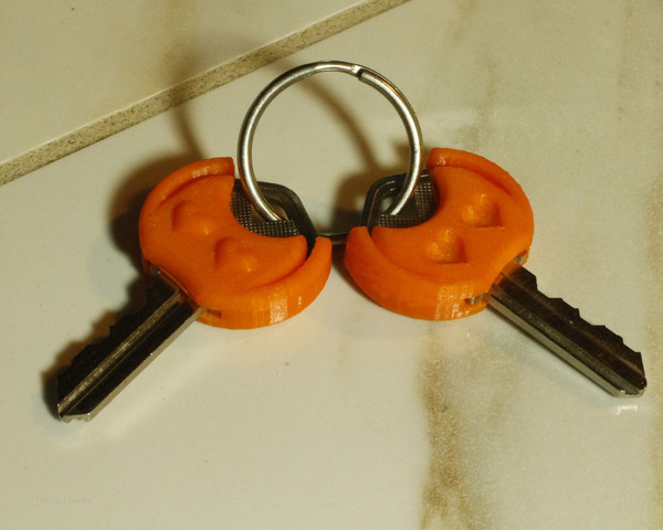 Tactile Key Cover (Two Hearts)
