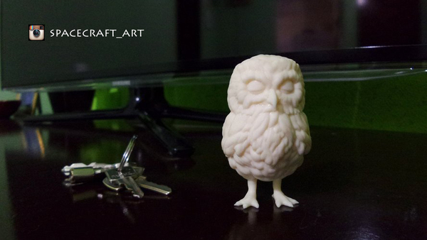 Medium Owl 3D Printing 79863
