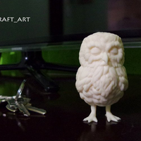Small Owl 3D Printing 79863