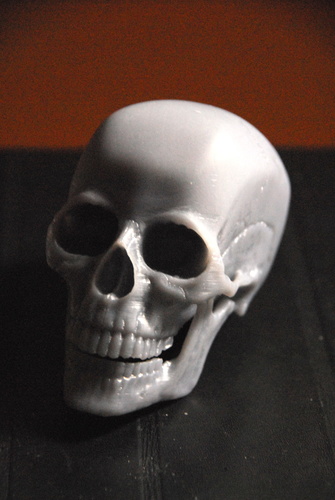 Human Skull 3D Print 80036
