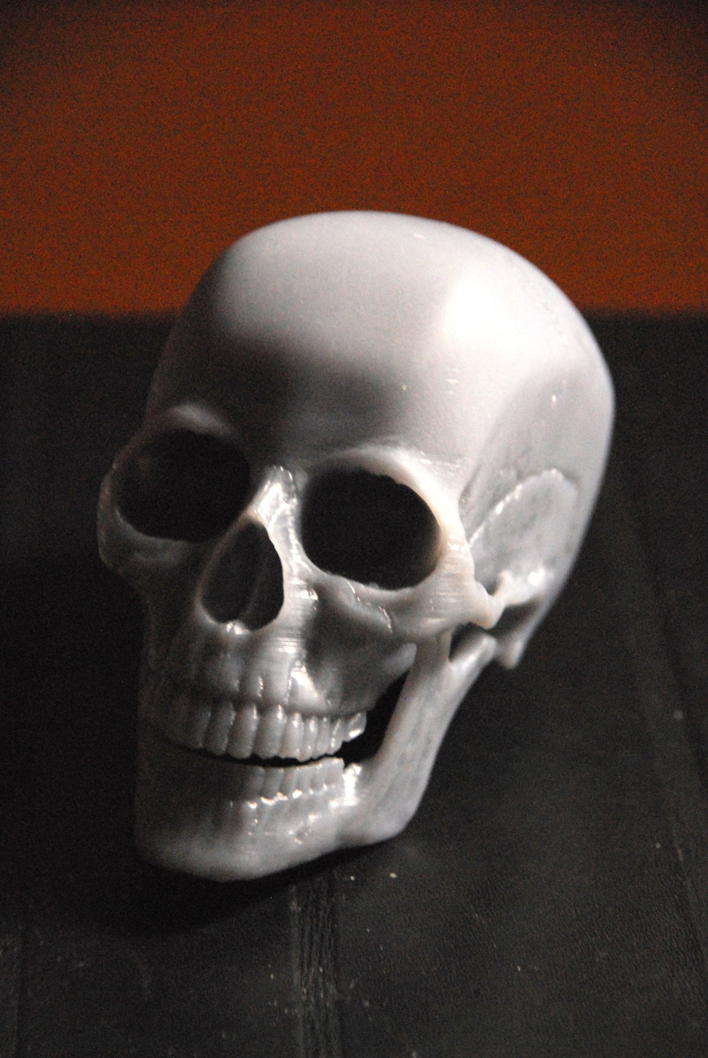 Human Skull