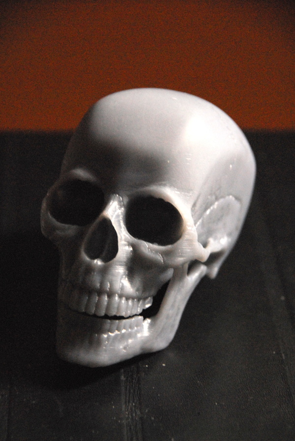 Medium Human Skull 3D Printing 80036