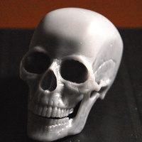Small Human Skull 3D Printing 80036