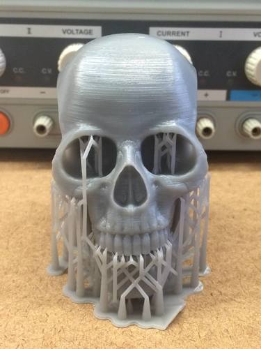 Human Skull 3D Print 80038