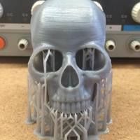 Human Skull - Thumbnail 3