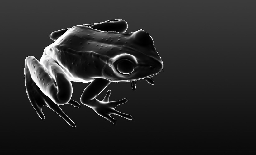 Wood Frog 3D Print 80045