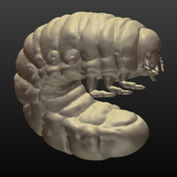 Small Rhino Beetle Grub 3D Printing 80054