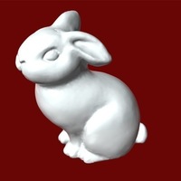 Bunny - Thumbnail 2