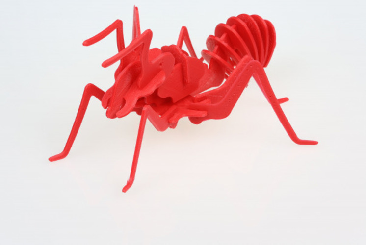 Red Ants 3D Print 80127