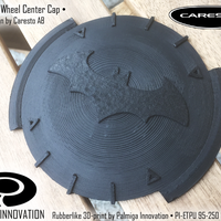 Palmiga Caresto Arkham Car steering wheel cap - Keychain token - Thumbnail 3