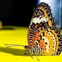 Stand for napkins "butterfly" - Thumbnail 3