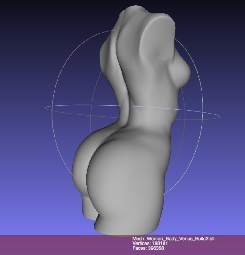 Woman Torso Sculpt (Decimated)