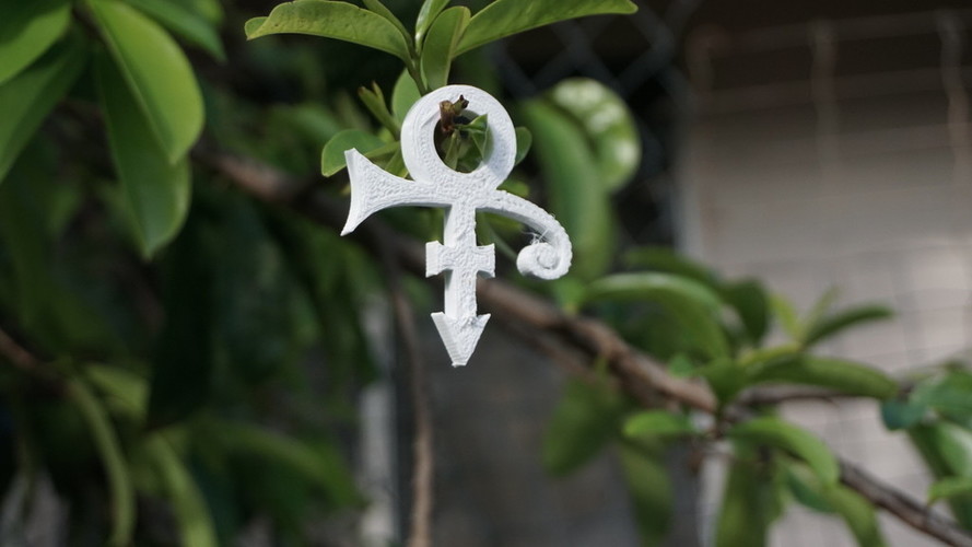 Prince - Logo 3D Print 80695