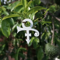 Prince - Logo - Thumbnail 2