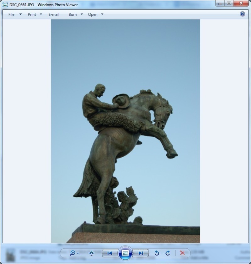 bucking bronco and a steadfast cowboy in wool chaps