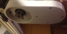 Image 81837
