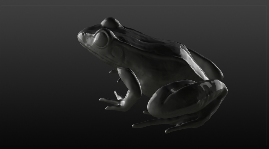 Leopard Frog (Rana pipiens) 3D Print 81903
