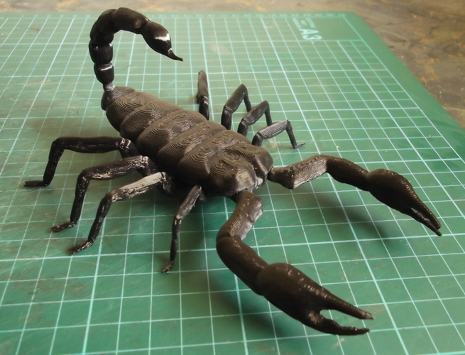 Scorpion. 3D Print 82155