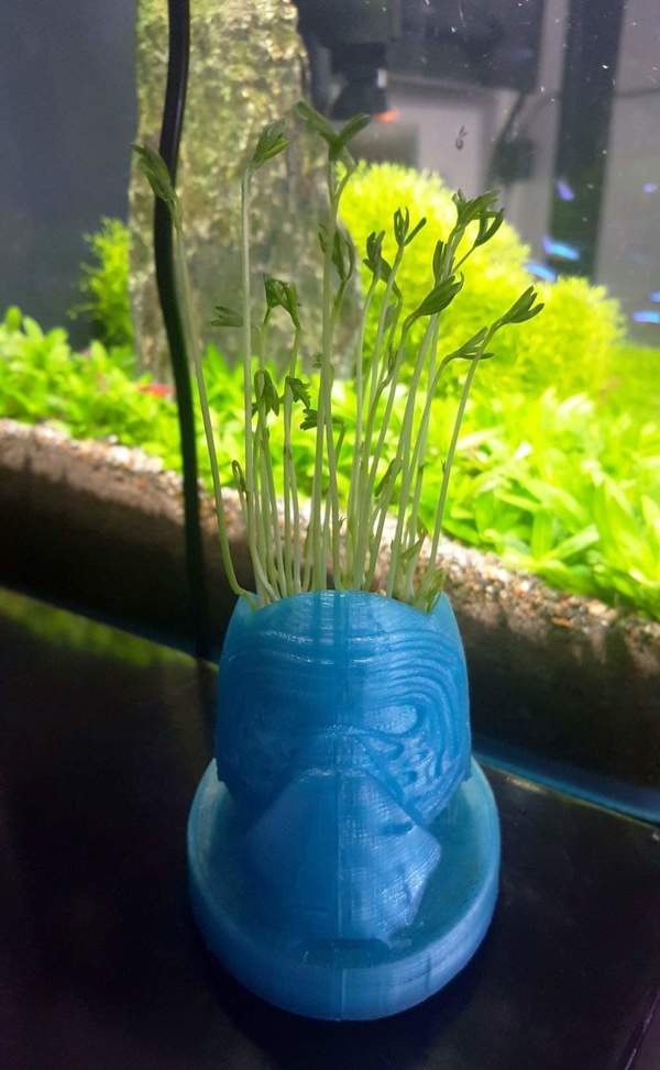 Kylo Ren Planter