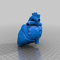Small Anatomical Heart 3D Printing 82536
